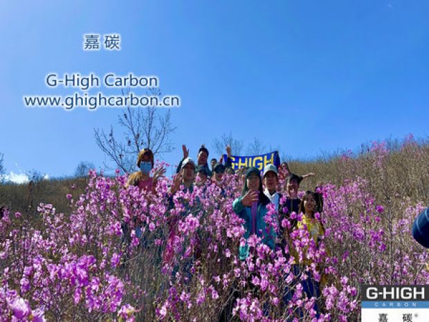 山野映山紅遍，嘉碳不負(fù)春光