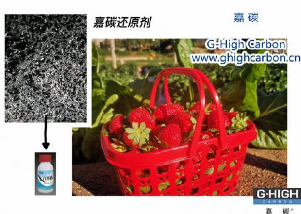 嘉碳還原劑守護(hù)“莓”好，甜蜜上線