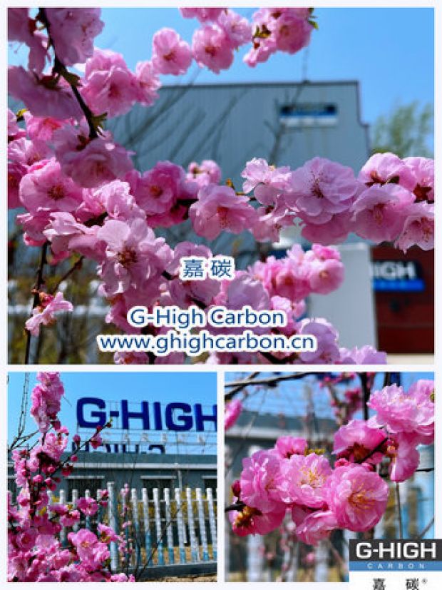 環(huán)保嘉碳，春花爛漫