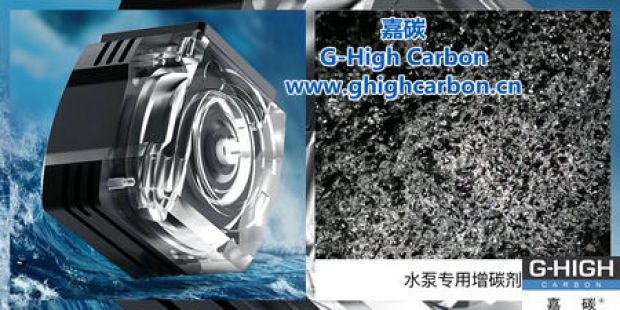 精鑄泵業(yè)，專業(yè)護(hù)航